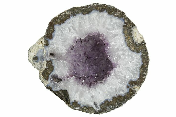 Las Choyas Coconut Geode Half with Amethyst & Goethite - Mexico #348474